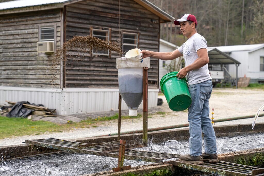 Fish feed Gained While Researching See
